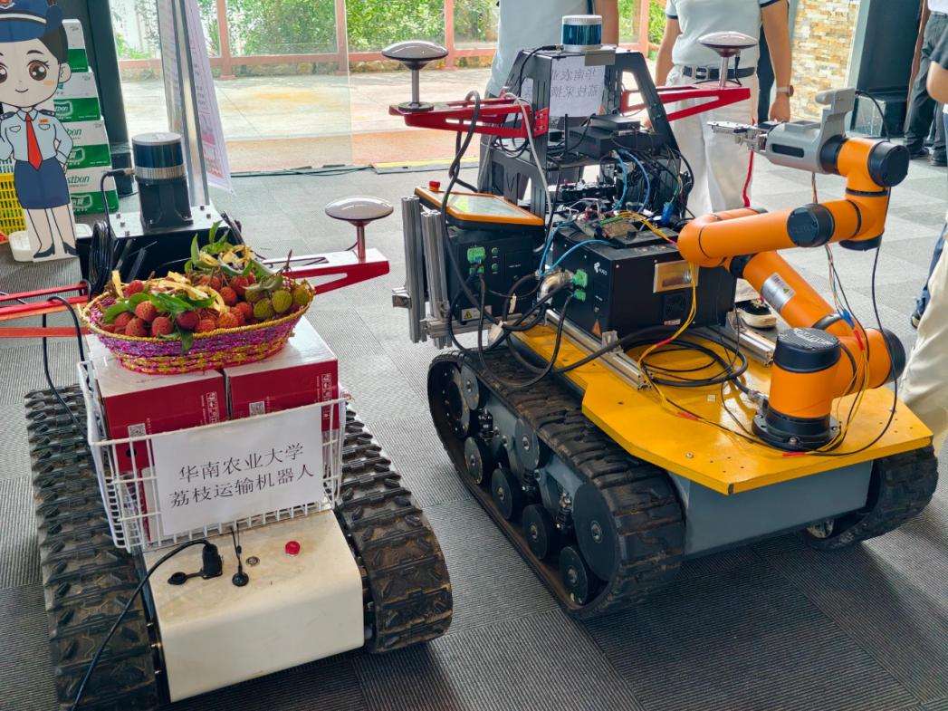 从化荔枝：从石门古道到世界果篮_fororder_荔枝3