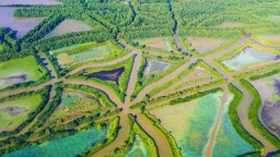 红树林面积全国第一，广东省启动2025年湿地保护宣传周