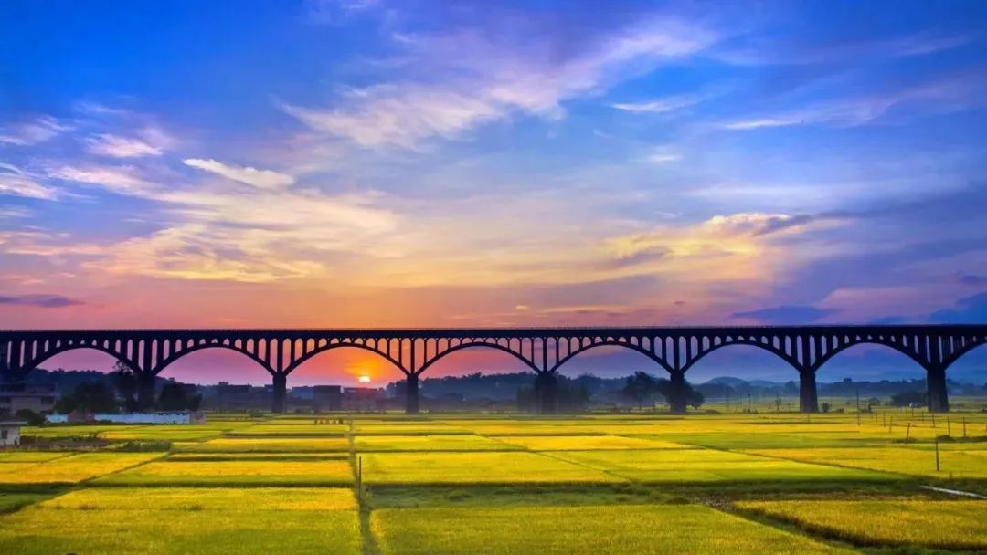 罗定市“媒体+”赋能“百千万工程”助农电商平台启动_fororder_ydm484aniz9sldzd17545549722994908