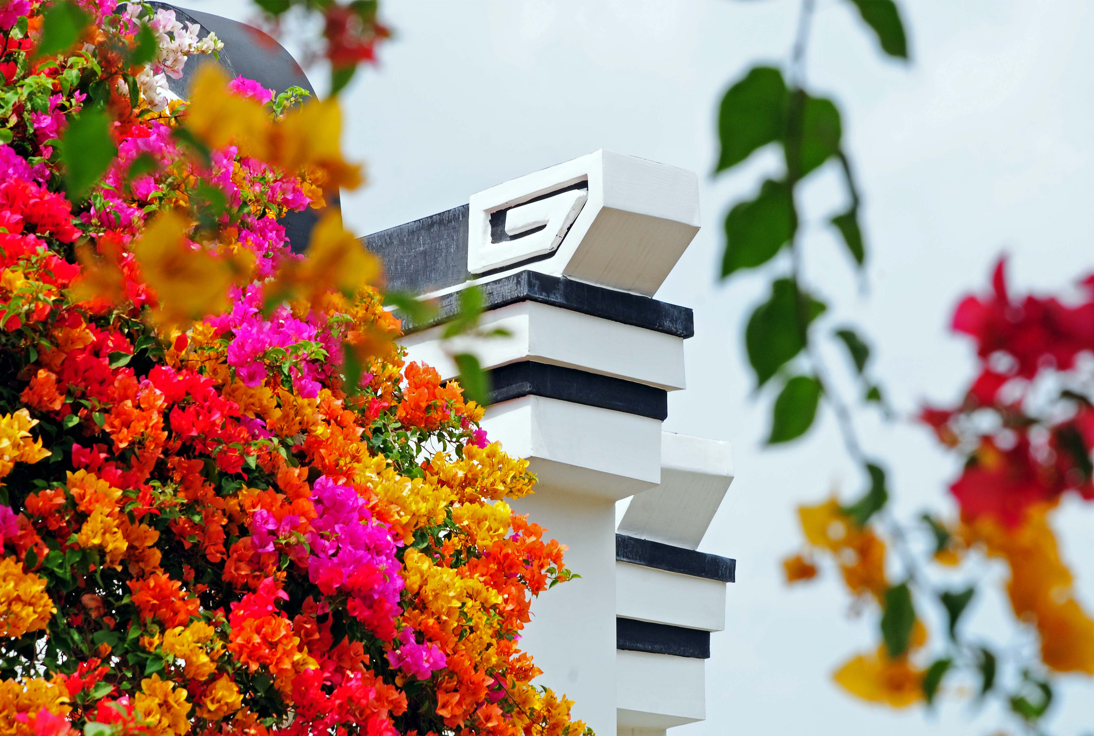 广州：“花”都开好了！花漾等你来_fororder_微信图片_20240824093840