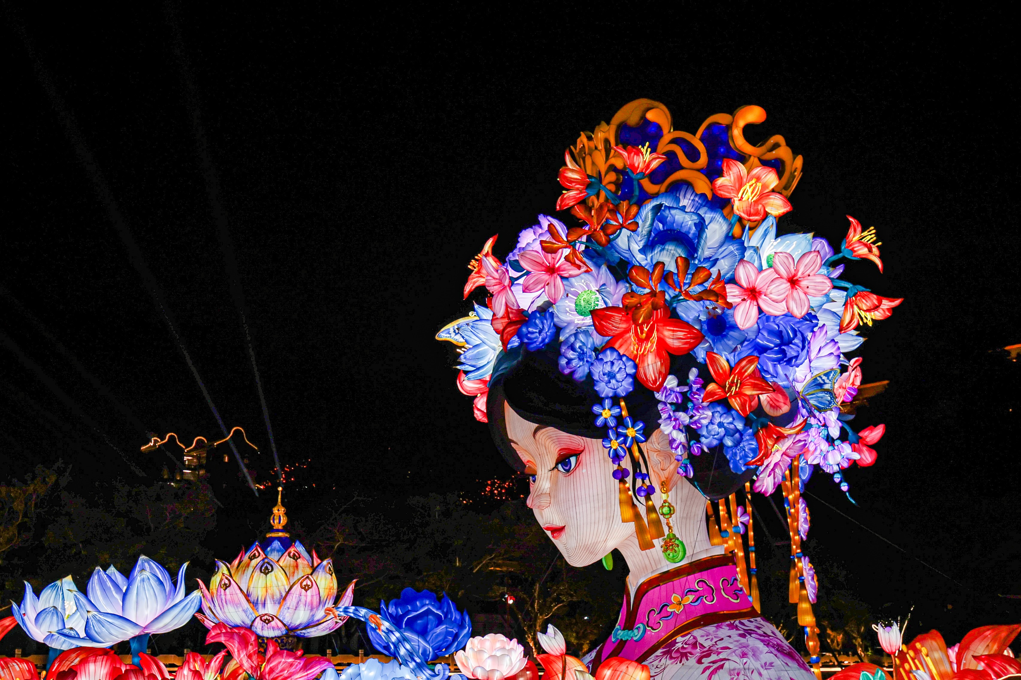 超10000盏彩灯亮了！2025年粤港澳大湾区灯会超长“待机”68天