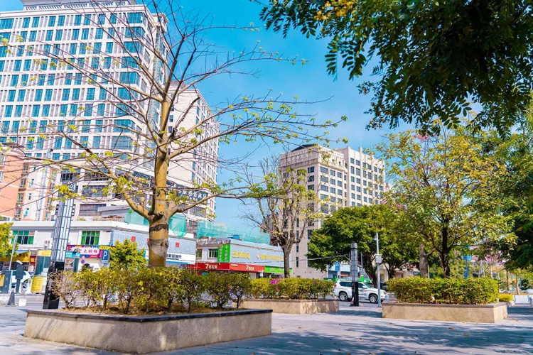民声变民生！  高标准推进“百千万工程” 谱写钟落潭“镇”兴之路