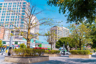 民声变民生！高标准推进“百千万工程” 谱写钟落潭“镇”兴之路_fororder_22