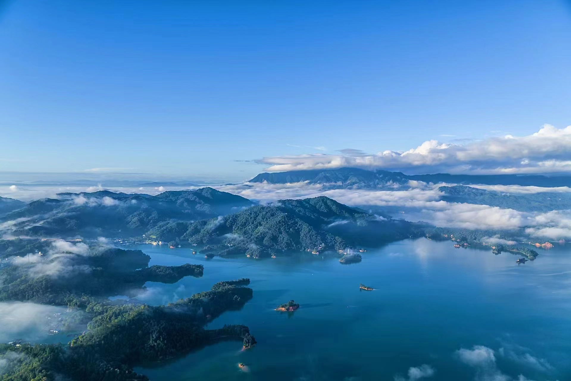 “广东最美水源地”系列之六|水库变“金库”：万绿湖如何点“水”成金？_fororder_微信图片_20250901171857_17_630