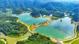 广州碧道上新！夏日避暑亲水首选 全市累计建成碧道1456公里