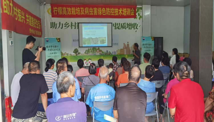 枝叶关情 实事暖心：钟落潭镇“民生微实事”绘就幸福新图景_fororder_枝叶4