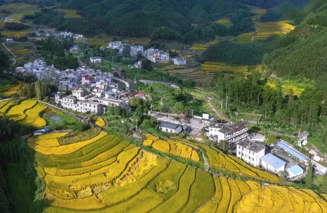 全国文明村！黑山村深化“五大行动”打造宜居宜业和美乡村｜创建助力“百千万”_fororder_微信图片_20250627070359