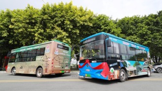 广州市黄埔区穗东街道“跟着巴士游穗东”文旅宣传发布会举行