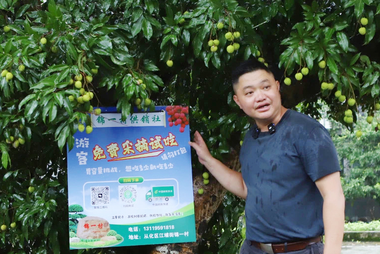 从化荔枝：从石门古道到世界果篮_fororder_荔枝7