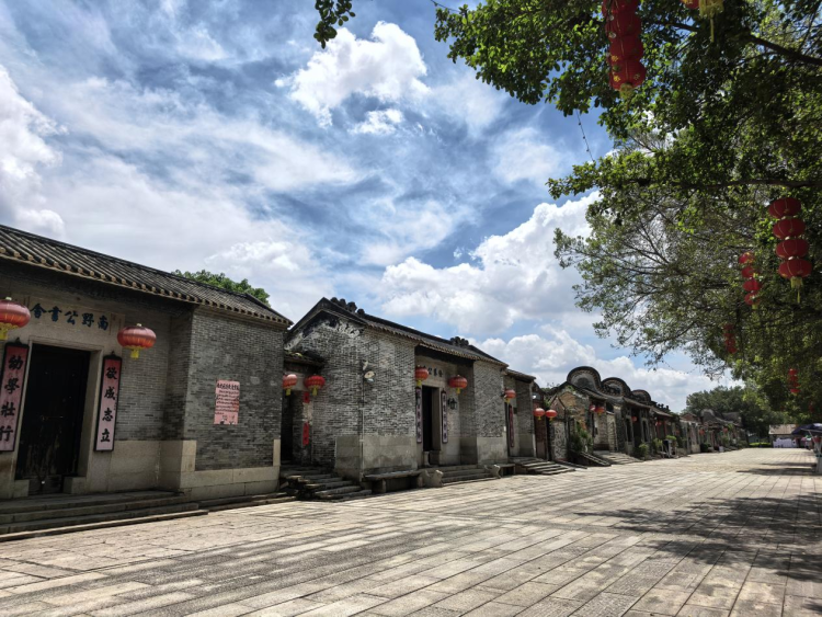 全时全龄全季绽放！广州美丽庭院绘就 “自在松弛”幸福图卷_fororder_图片8