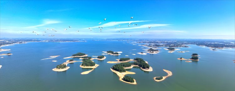 广东最美水源地|守护湛江“大水缸”：科技联防筑牢粤西400万人水源安全防线_fororder_微信图片_20250629104340