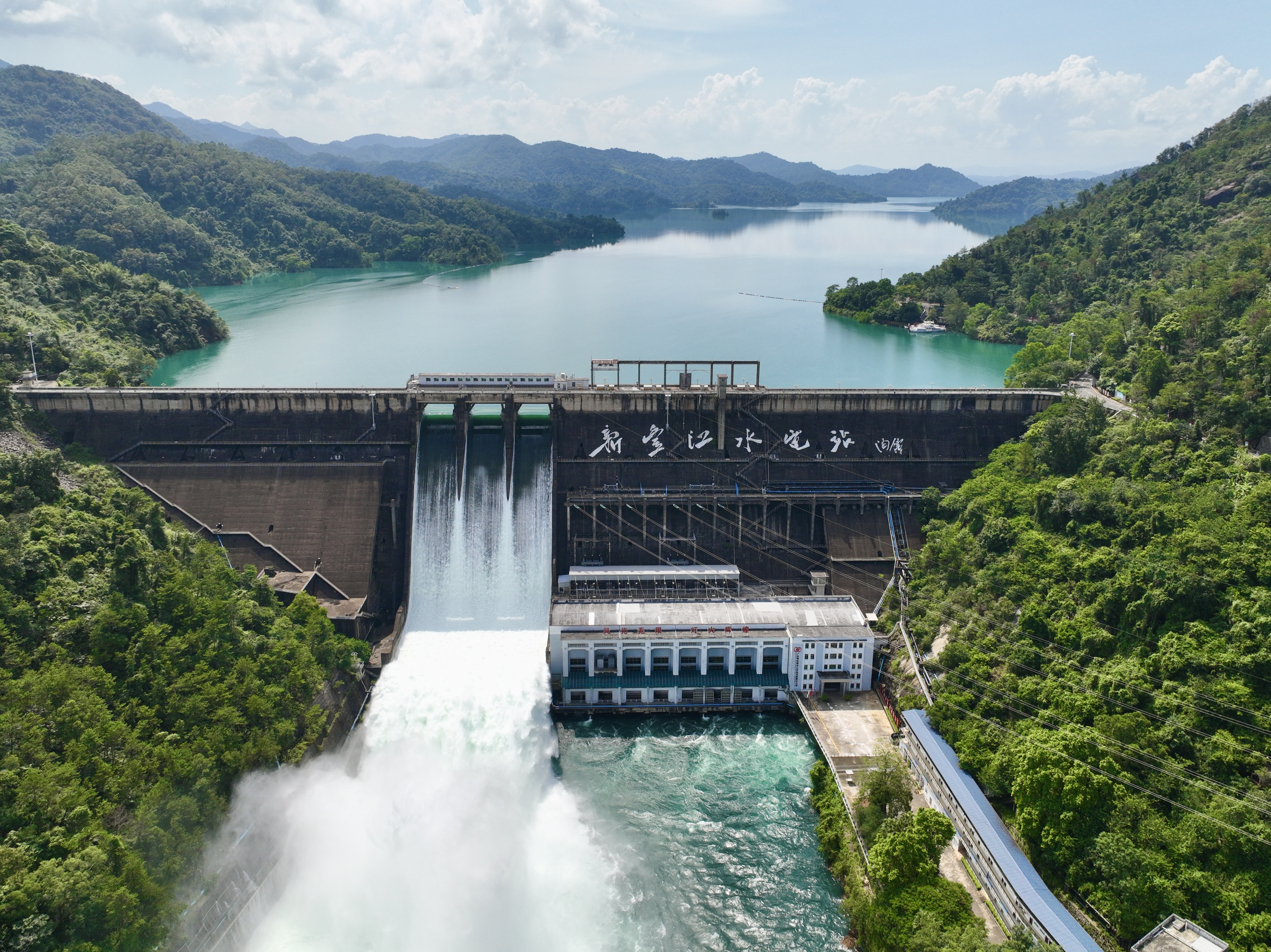 “广东最美水源地”系列之六|水库变“金库”：万绿湖如何点“水”成金？_fororder_微信图片_20250901171651_11_630