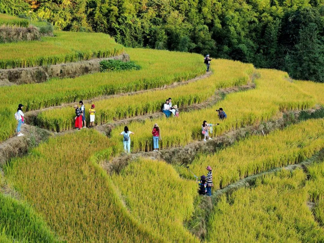 全国文明村！黑山村深化“五大行动”打造宜居宜业和美乡村｜创建助力“百千万”_fororder_微信图片_20250627070502