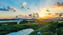 广东整县推进美丽乡村建设提速 2027年建成比例将达50%