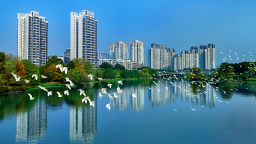 广州市花都区上半年GDP超922亿元