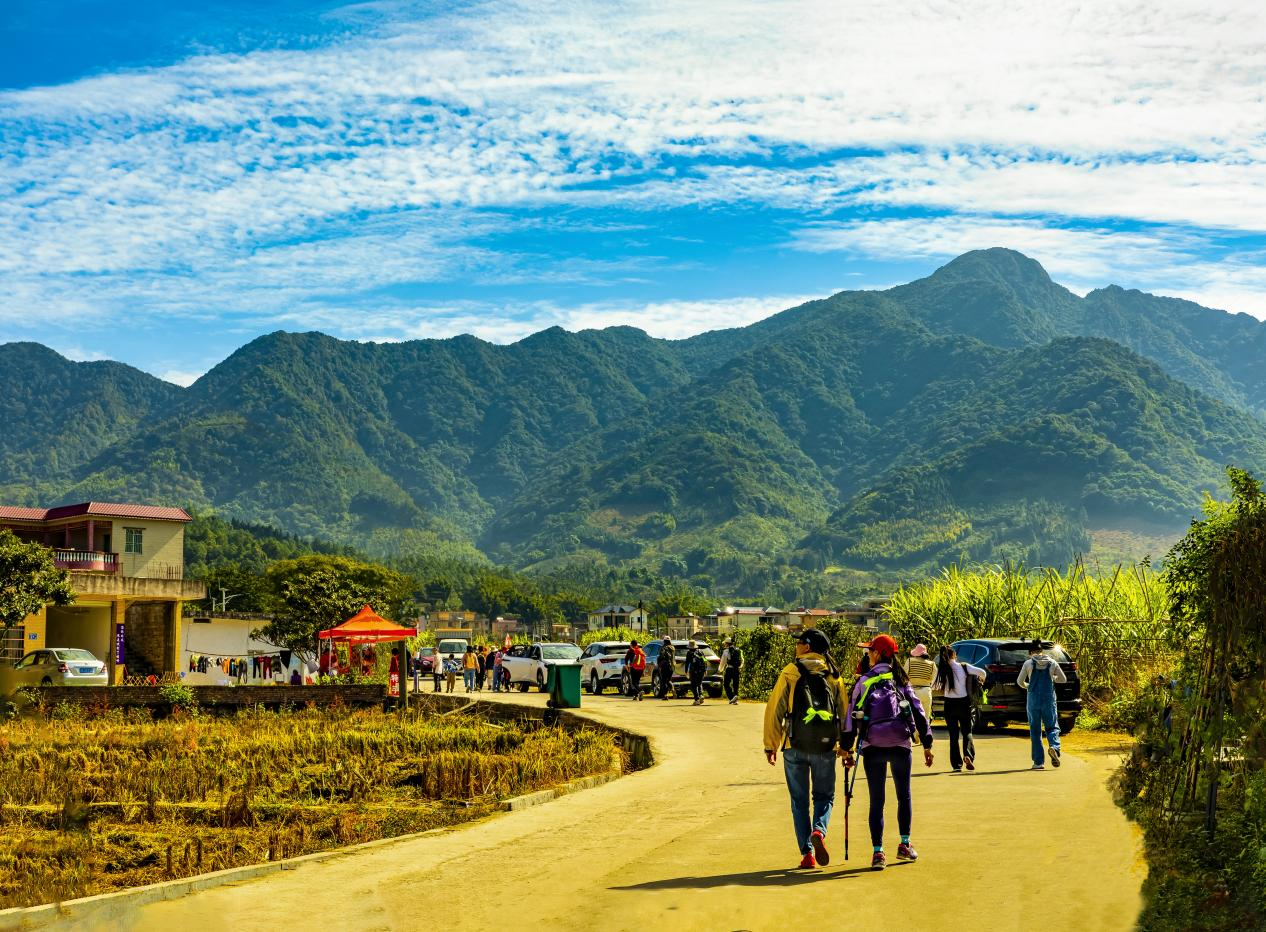 穗北田园展新姿，镜头定格丰收景——2025年中国农民丰收节广州从化全国摄影作品展圆满收官_fororder_图片12