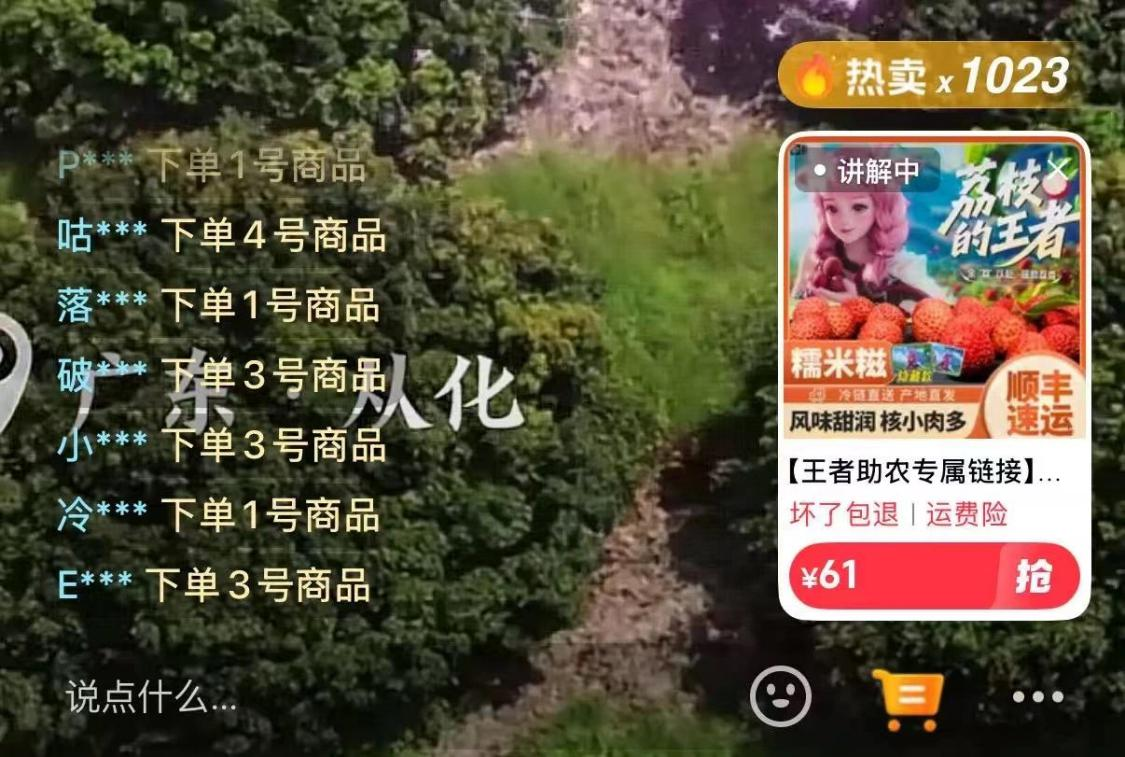 从化荔枝：从石门古道到世界果篮_fororder_荔枝9