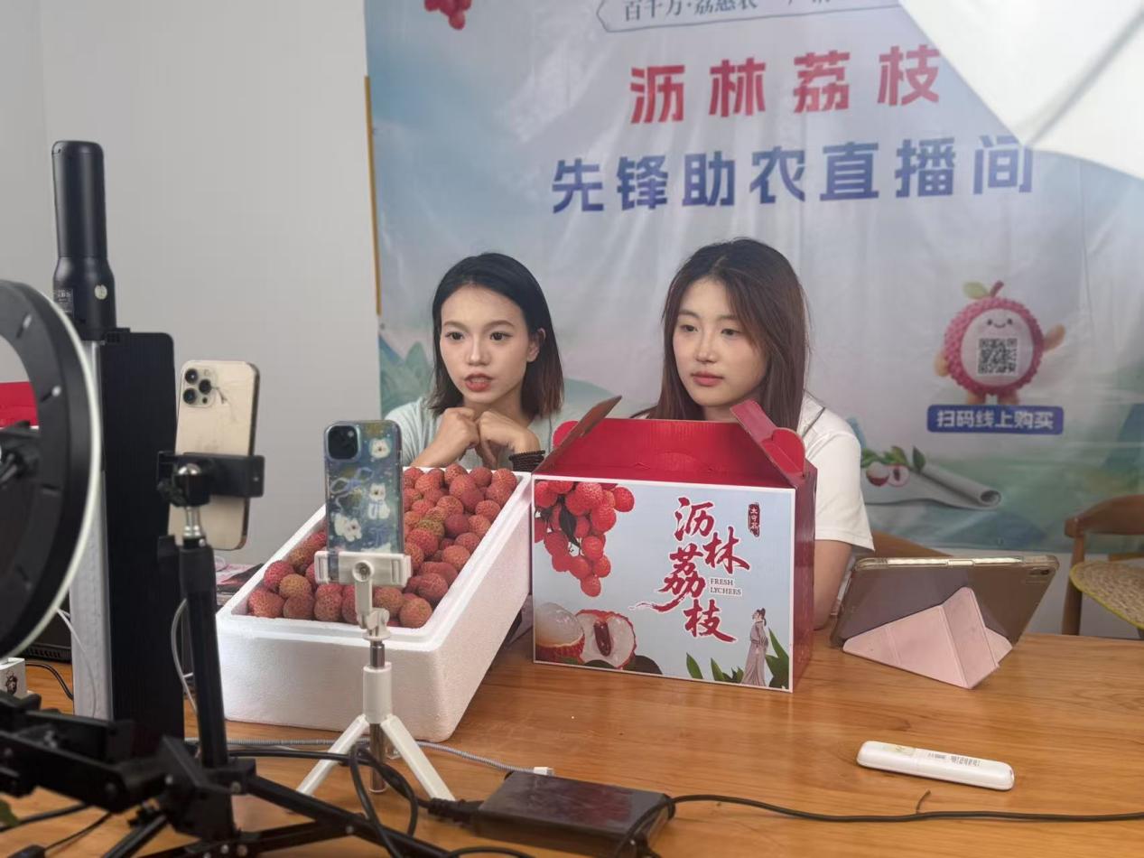 荔枝林里来了“00后” 南昌理工学子下乡架起“助农桥”_fororder_图片2