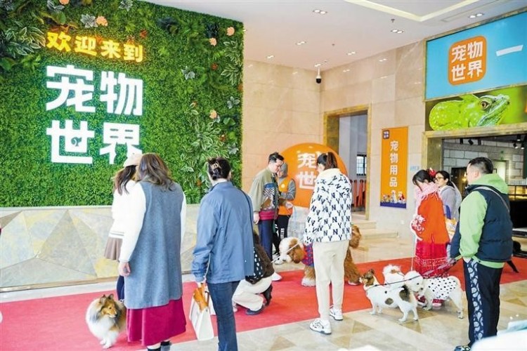 深圳大浪街道抢抓宠物经济新赛道_fororder_19