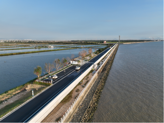 广州碧道上新！夏日避暑亲水首选 全市累计建成碧道1456公里_fororder_避暑7