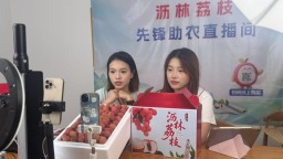 荔枝林里来了“00后” 南昌理工学子下乡架起“助农桥”