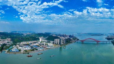 Over 60 Media Outlets! Nansha Expands Its Global Communication Network