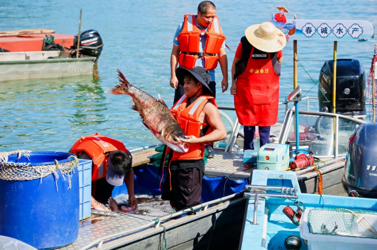 河源“湖泊+”战略激活万绿湖，农文旅融合绘新卷_fororder_图片12