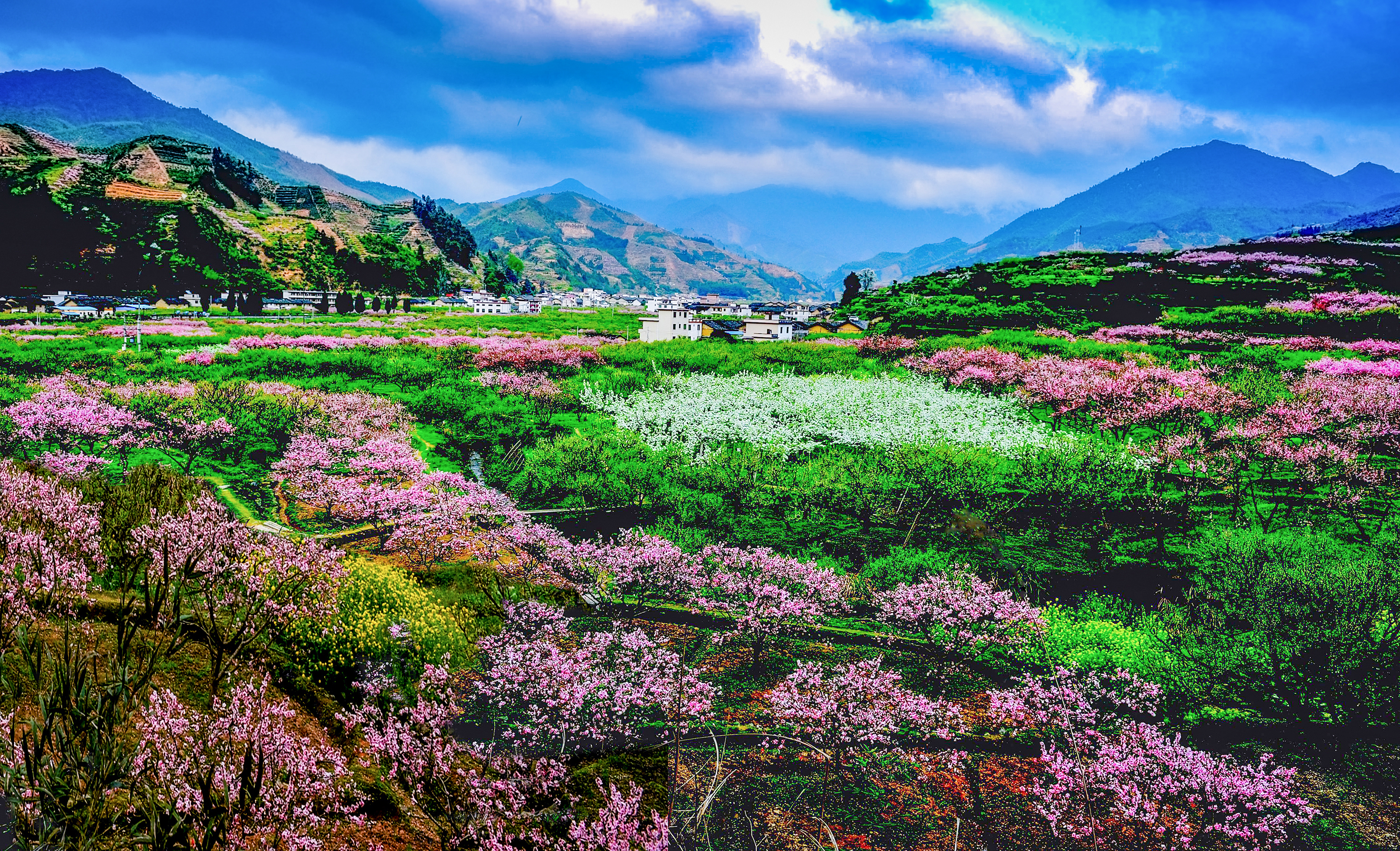 到韶关乐昌一起get春日浪漫_fororder_微信图片_20250310142136