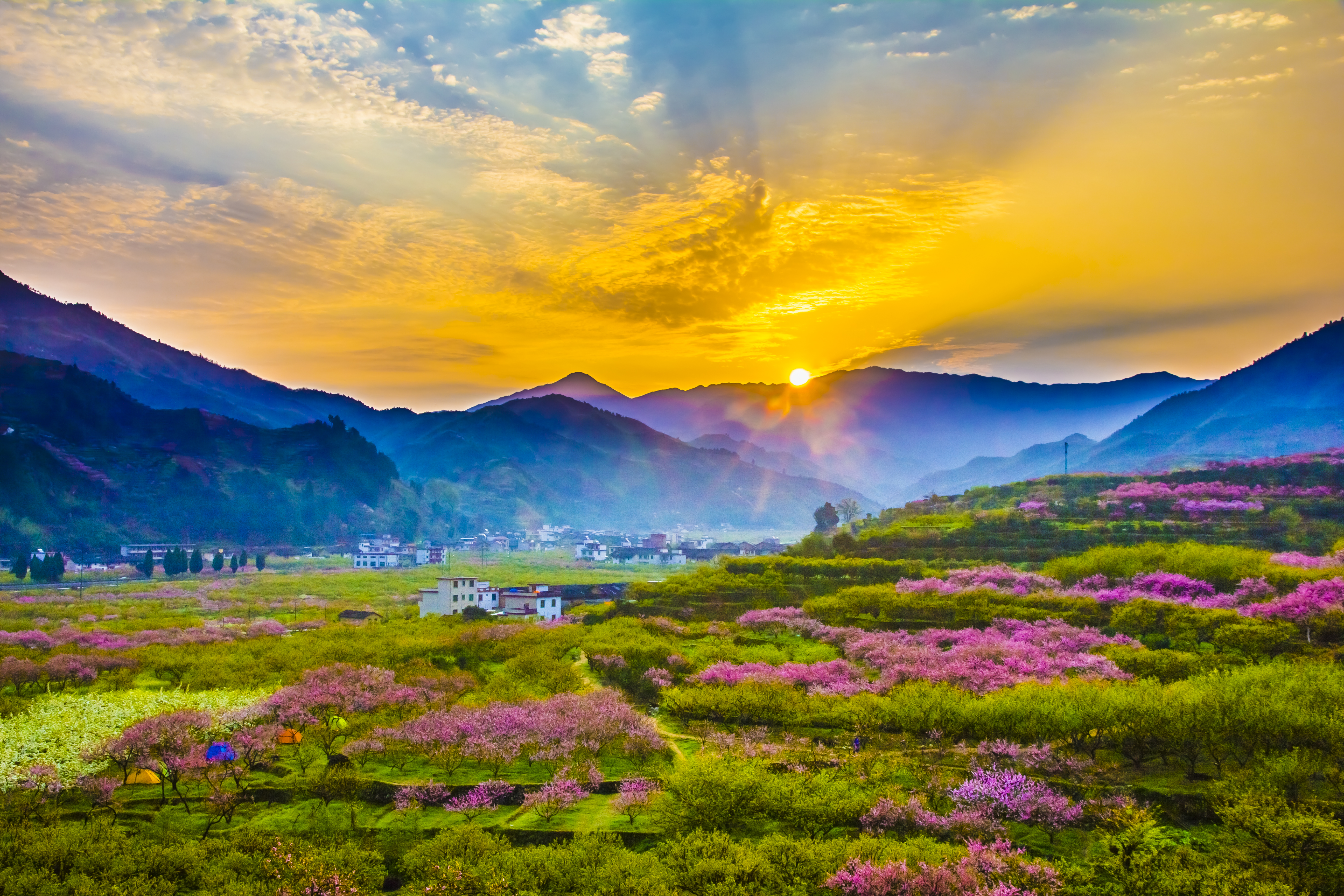 到韶关乐昌一起get春日浪漫_fororder_微信图片_20250310142150