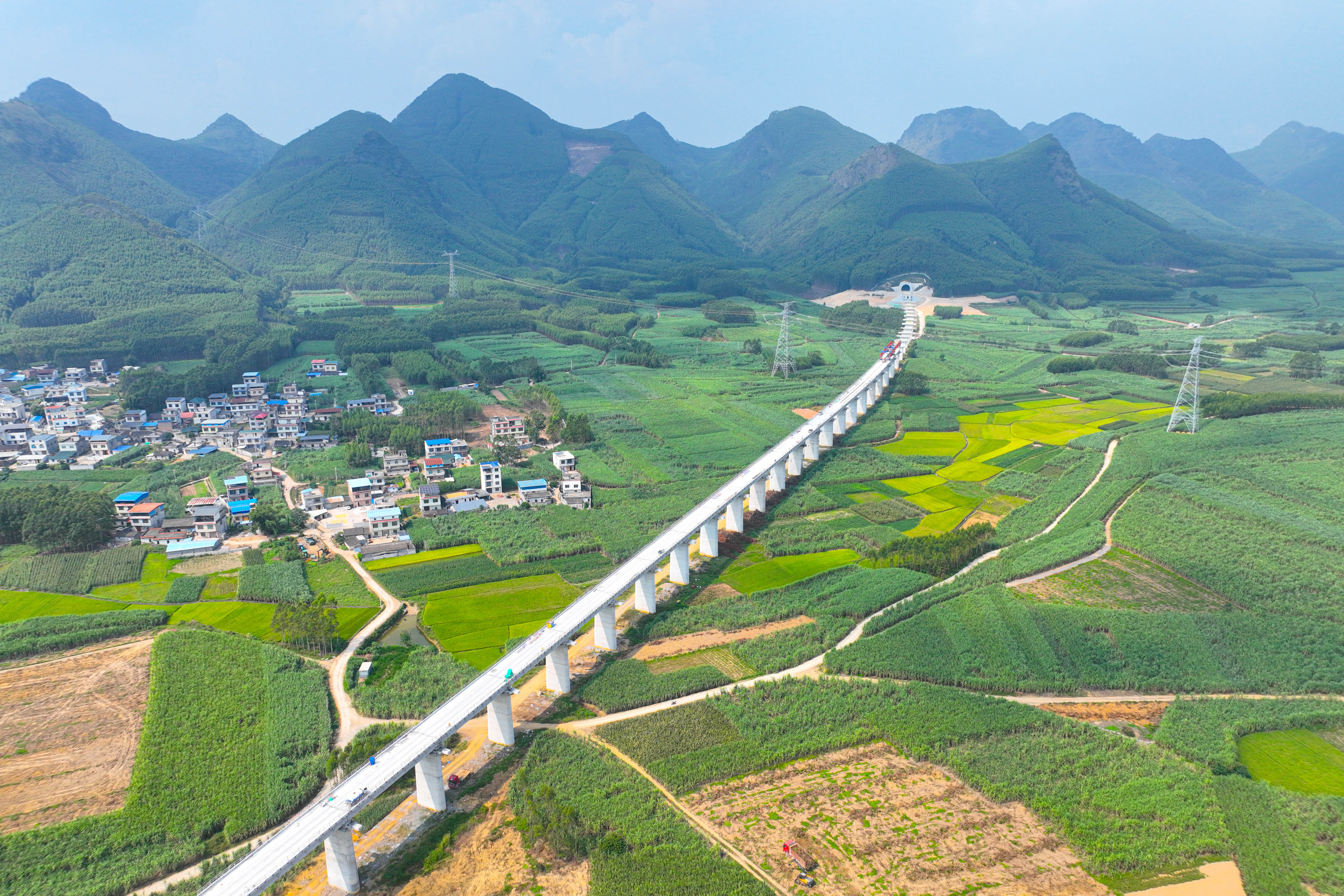 广东建筑行业“高质量发展”系列|锻造新质生产力 实现建筑业跨越式升级 ——探析中铁二十五局总经理程志强的破局实践​_fororder_柳梧铁路龙凤特大桥