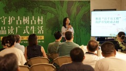 岭南古村焕发新活力：专家共议广式生活与乡村振兴