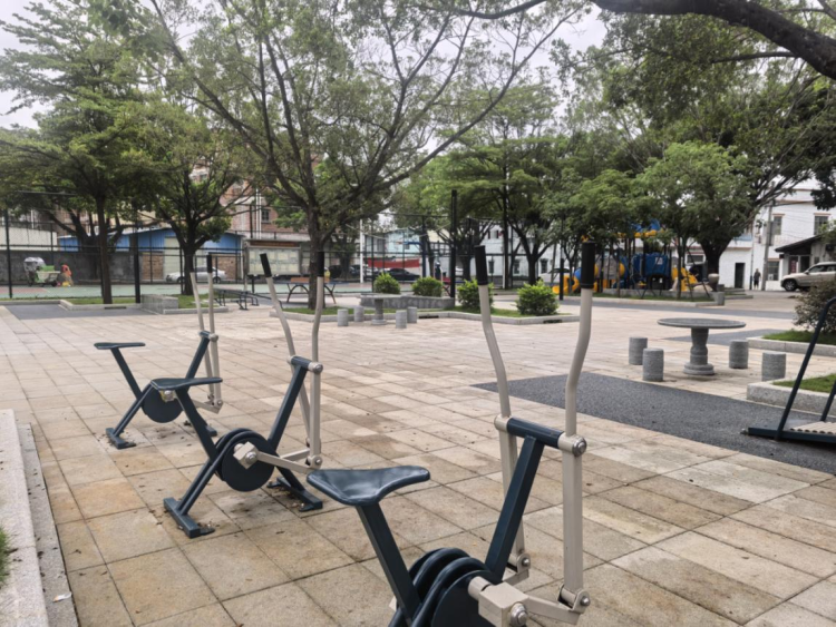 枝叶关情 实事暖心：钟落潭镇“民生微实事”绘就幸福新图景_fororder_枝叶2