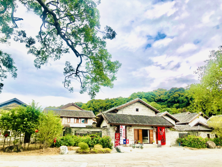 巾帼巧手扮靓方寸庭院，“五美”画卷铺展绿美广州_fororder_庭院9