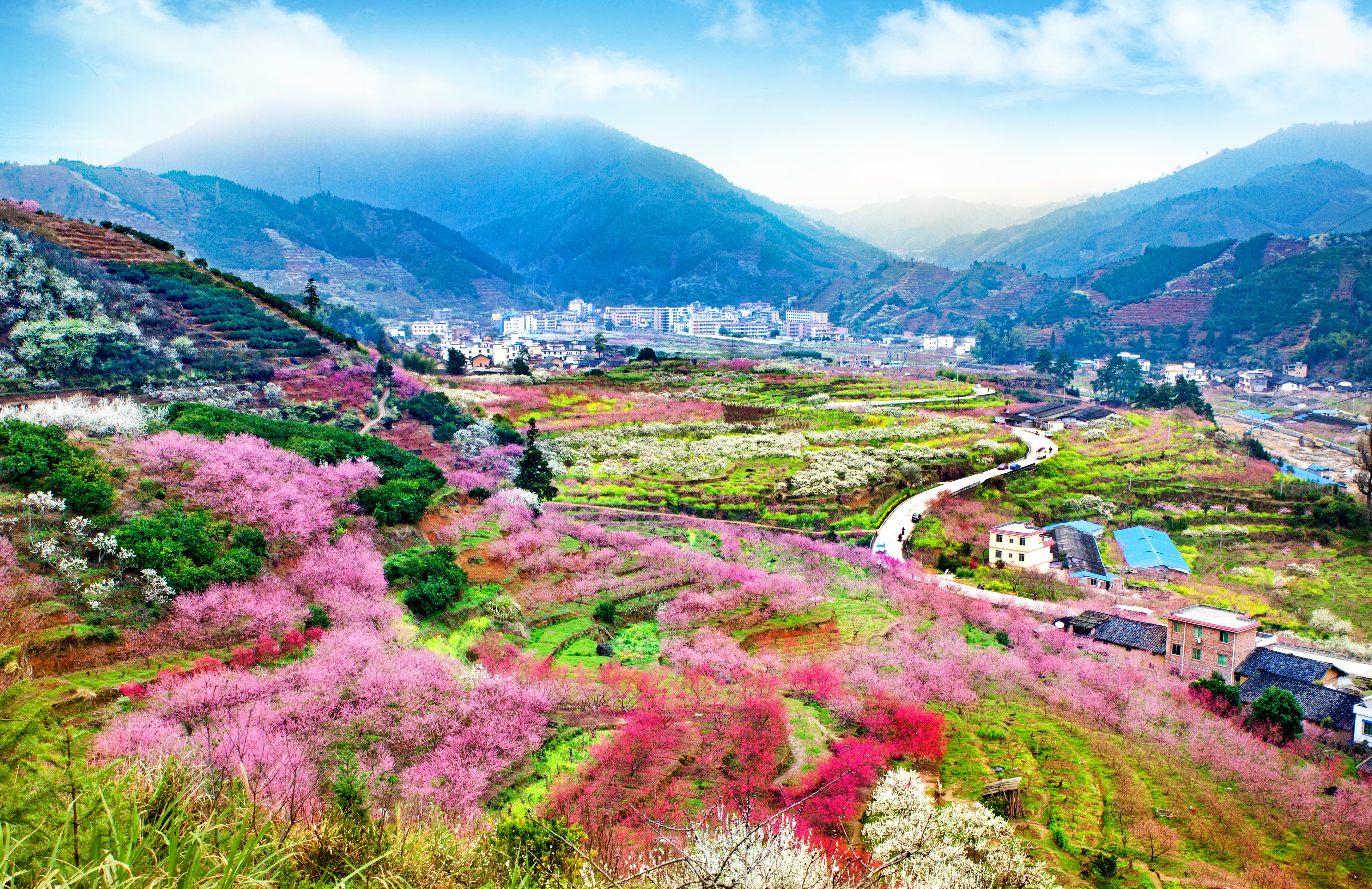 到韶关乐昌一起get春日浪漫_fororder_微信图片_20250310142126