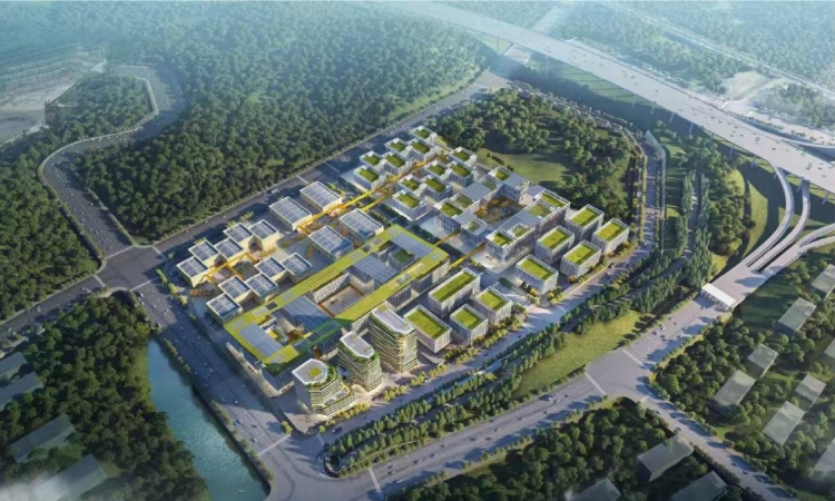 广州从化：以绿为笔，绘就绿色发展示范区新图景_fororder_图片2(1)