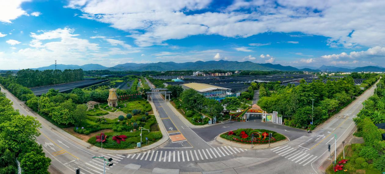 穗北田园展新姿，镜头定格丰收景——2025年中国农民丰收节广州从化全国摄影作品展圆满收官_fororder_图片8