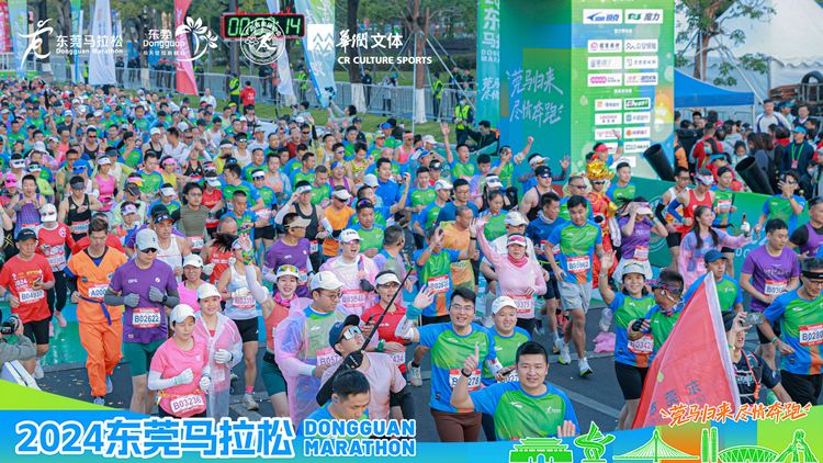 “莞马归来，尽情奔跑 ”2024东莞马拉松精彩举行