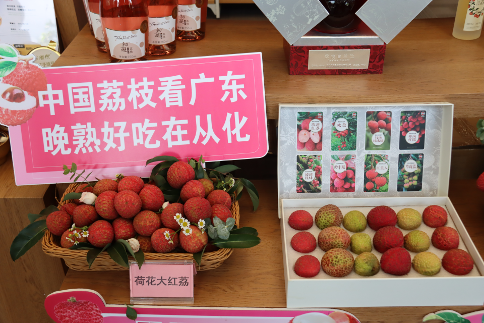 广州从化荔枝文化旅游季：世界冠军代言打响“荔界冠军品牌”_fororder_图片3