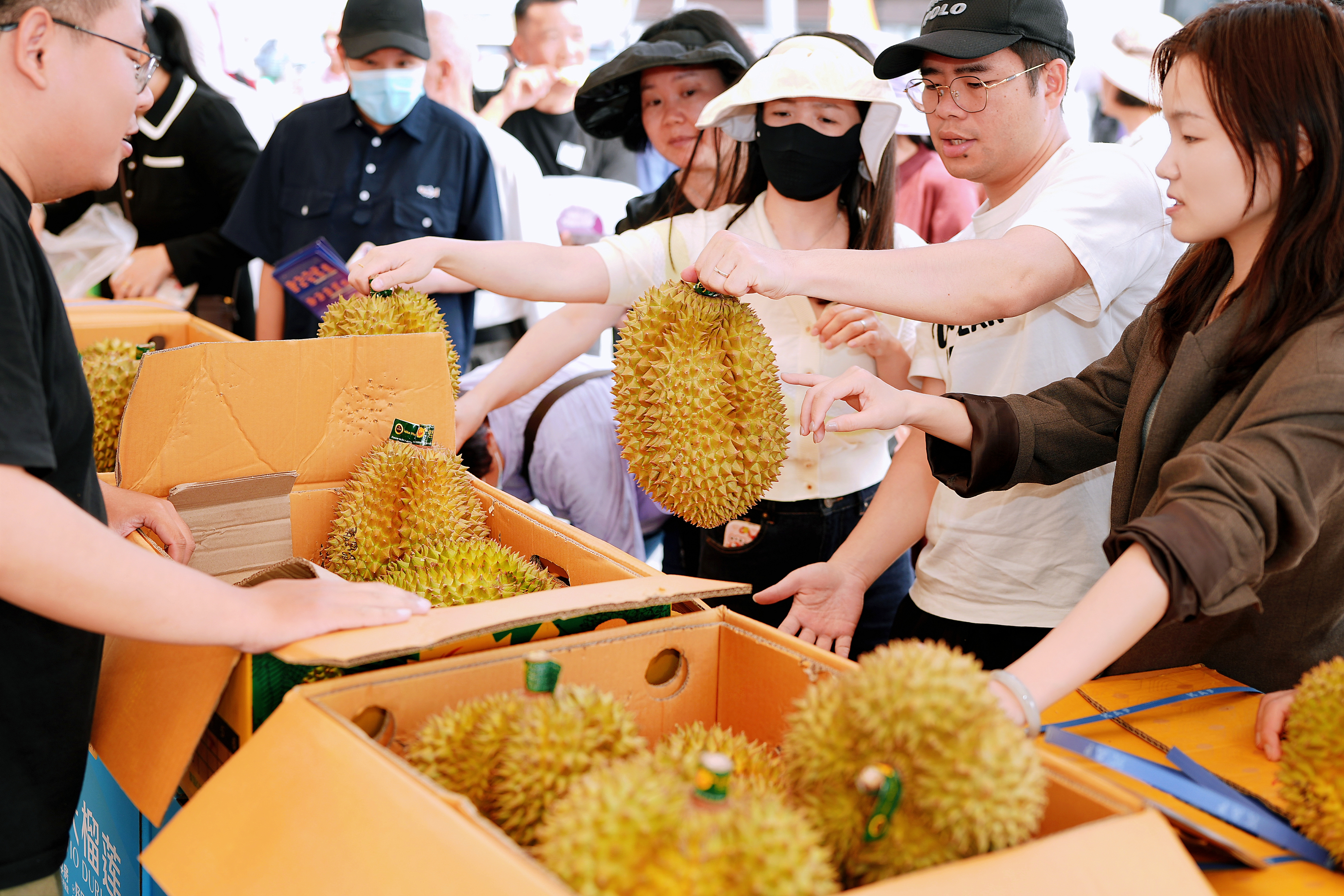 超170万人次！南沙这个“五一”活力满满_fororder_微信图片_20250507133247