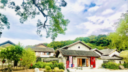 巾帼巧手扮靓方寸庭院，“五美”画卷铺展绿美广州