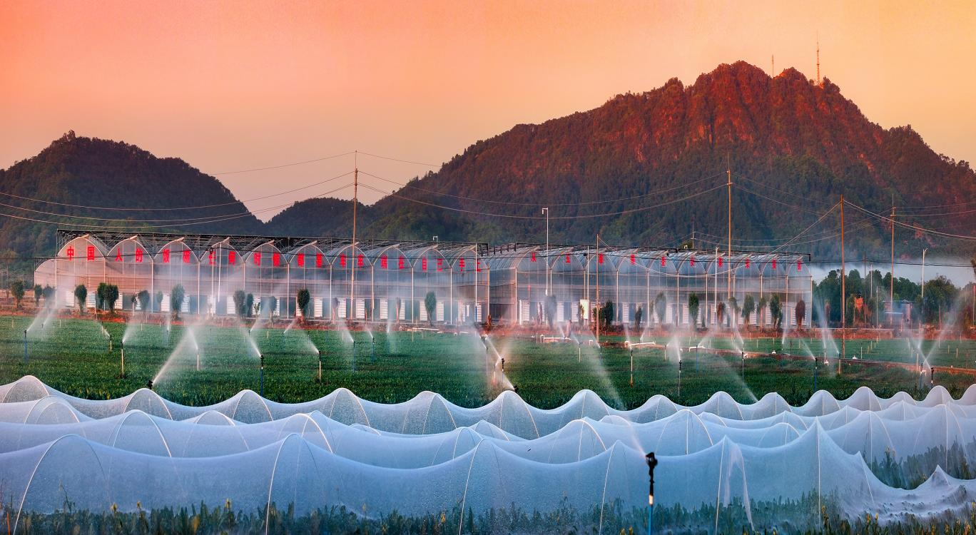 穗北田园展新姿，镜头定格丰收景——2025年中国农民丰收节广州从化全国摄影作品展圆满收官_fororder_图片6