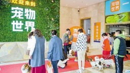 深圳大浪街道抢抓宠物经济新赛道