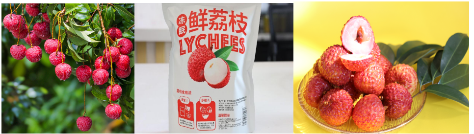 从化国际范：山水田园里绽放全球化魅力 ——温泉、荔枝与从都国际论坛的协同发展_fororder_06