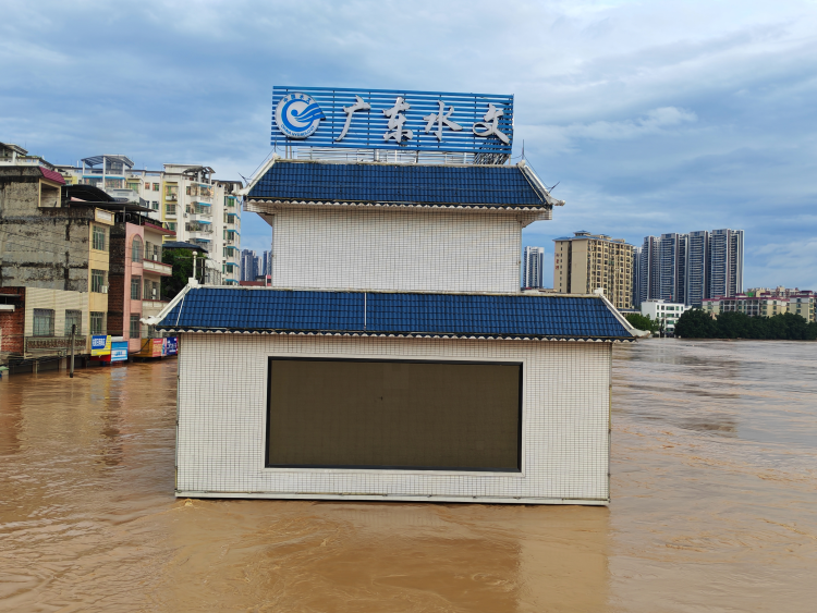 广东怀集“水文老兵”姚振峰： 与绥江洪峰的生死较量_fororder_图片2