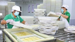 河源龙川：一块豆腐的“破圈”突围