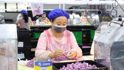 抓质量 保订单 贵州独山潮玩工厂生产忙