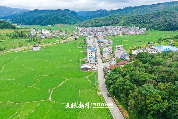 2024年“十大最美农村路”名单公布  贵州这条公路入选