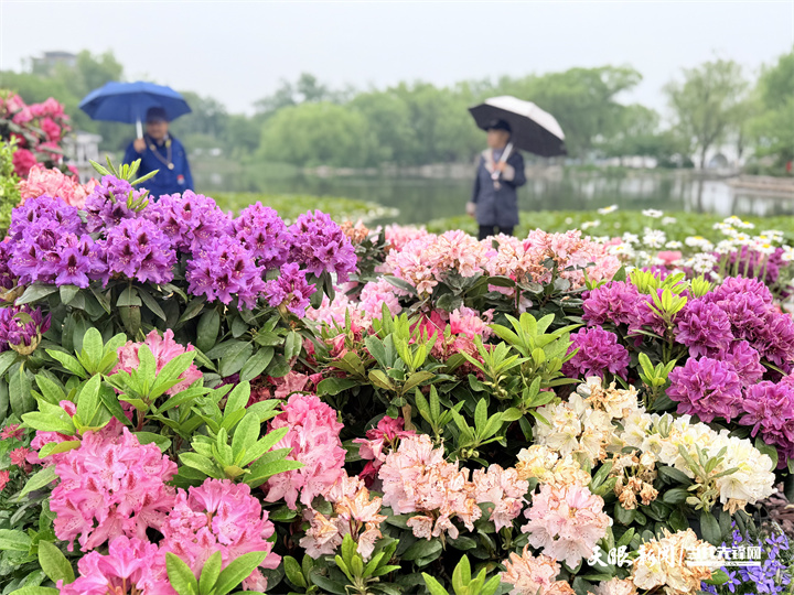 花绽京华 茶韵流芳，贵州在京奏响文化“三重奏”