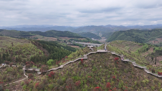 贵州水城国家杜鹃公园：杜鹃花海迎客来_fororder_微信图片_20250427095107