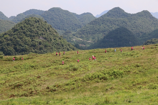 “赛动黔景”享清凉 毕节大方定向赛奏响避暑旅游新乐章_fororder_参赛选手探秘油杉河趣玩崔苏坝-陈玉摄.JPG